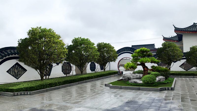 日式庭院常绿植物，为什么总有人选错