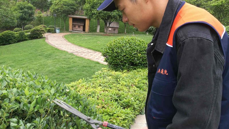 小别墅花园设计：从规划到实施的五大关键步骤