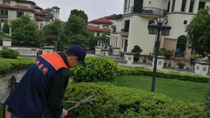 南京道路绿化工程验收标准全解析