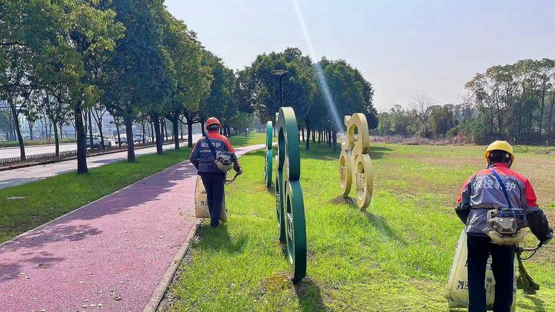 成都绿植租赁，如何选择合适报价？**