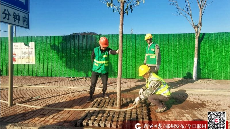 绿化苗木种植公司报价清单，如何精准把握成本与质量？**