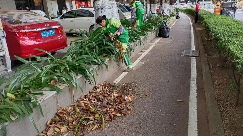 园林公司定制化服务：如何满足多样化需求