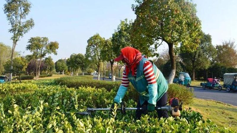 别墅庭院绿化材料报价明细，如何避免陷入误区？**