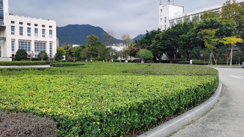 阳台垂直绿化的布局设计要遵循以下原则：