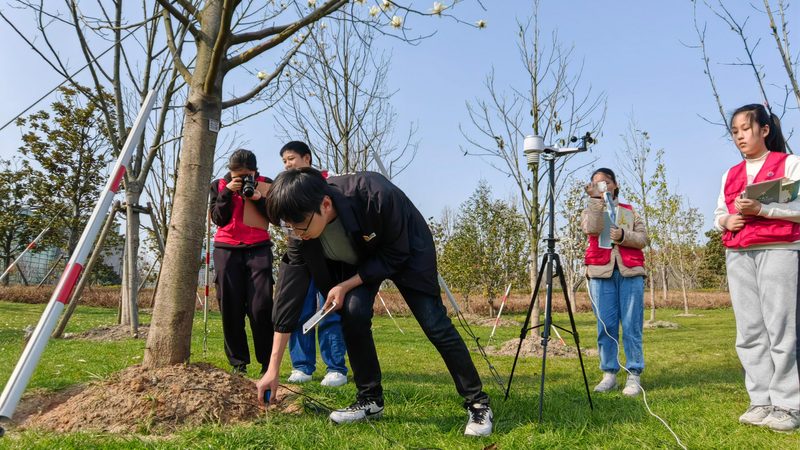 矿山边坡绿化价格预算表：如何科学制定与评估**